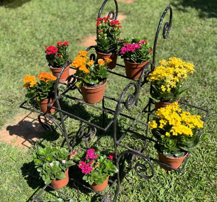 Premium Floral Design - Sophisticated arrangement for special occasions